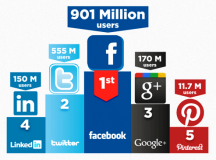 Social Network User Stats